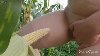 Hardcore with a corn