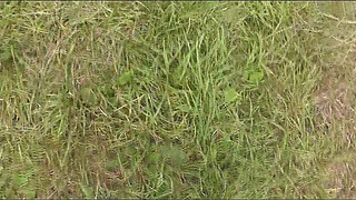 Public sex. Sex in public. Lover fucking pussy blonde MILF in backseat of car. Porn Outdoor Outside Outdoors. Fetish In stockings High Heels. Wife Slut Whore. Taxi driver fucks woman in cunt in auto