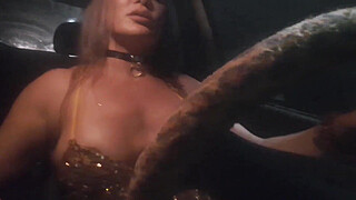 Returning from the carnival block party with the naughty MILF from the app.