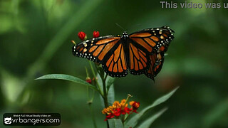 VR Bangers: Busty Nude Babe Fucks Anally During Nuru Massage